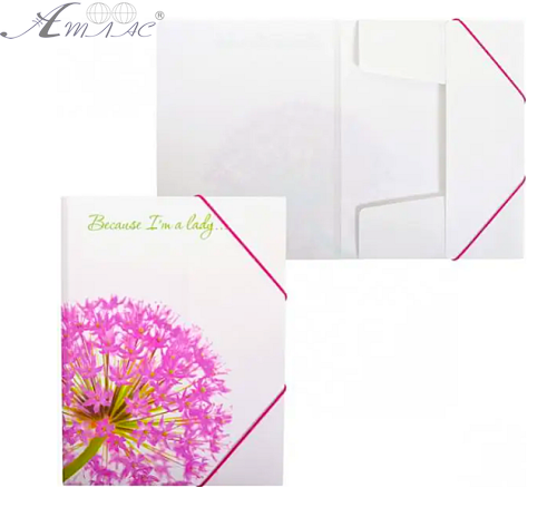 Папка на гумках А4 Leo "Аліум" 490632 Папка на гумках А4 Leo "Аліум" 490632