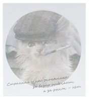 Бумага с липким слоем, стикер "Странная у нас экономика …" 30 листов AS-0542, Р-0138