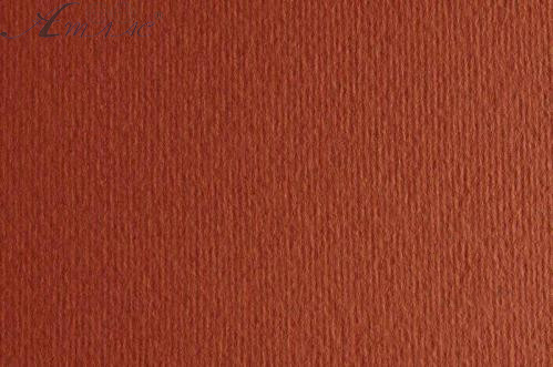 Картон для пастели и дизайна 50х70см Коричневый с красным Elle Erre 220 г 19 terra bruciata  17882