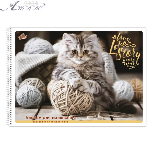 Альбом для малювання, спіраль Бриск 50 аркушів 100 г мікс  01903 фото 3