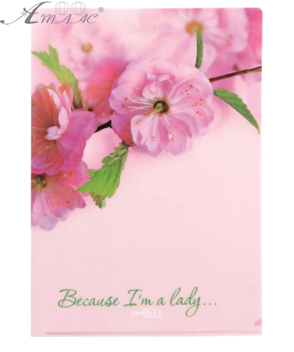 Папка куточок А4 Leo Сакура 180мкм  490633