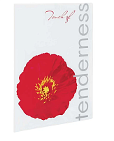 Папка уголок А4 Мак 180мкм   L5151 