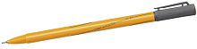Ручка капілярна Rystor № 2 Графіт 0,4 мм RC-04