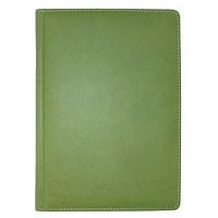 Ежедневник недатированный А5 Бриск Winner Зеленый темный 176 л 3B-43