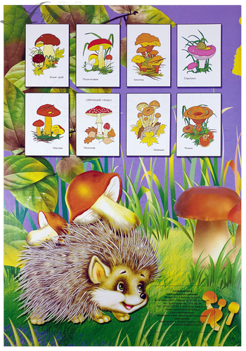Раскраска Грибы А 4, 8 страниц под карандаш  U-00006 фото 2