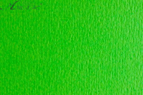 Картон для акварели и пастели 50х70 Яркий Зеленый Elle Erre 220 г 14672