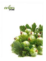Папка с файлами на 20 файлов Skiper Colors of life А4 Крыжовник  SK-20CL
