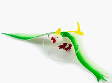 Іграшка гумова на підвісі Папуга 36 см  15611