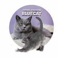 Іграшка Фігурка Кота Вluecat 7 см  01123