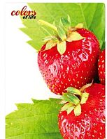 Папка скоросшиватель Skiper А4  клубника, гранат  SK-12CL