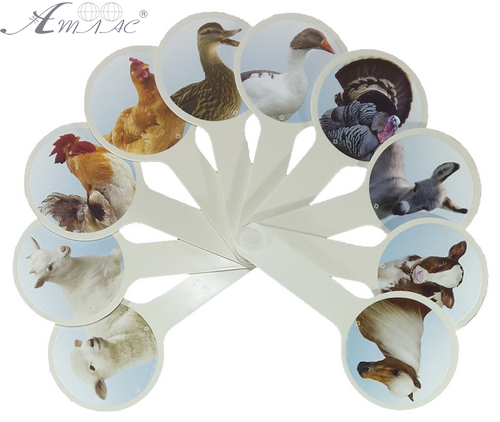 Веер с картинками - Домашние животные AS-0010, К-5376 фото 2