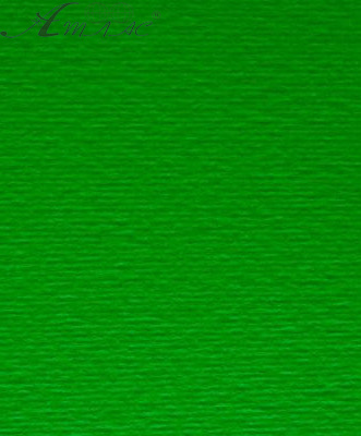 Картон для пастели и дизайна А4 Fabriano Зеленый 11 220 г Картон для пастели и дизайна А4 Fabriano Зеленый 11 220 г