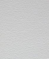 Картон для пастелі та дизайну А4 Fabriano Білий з вкрапленнями 29 220 г