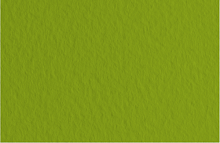 Картон для акварелі та пастелі А4 Tiziano Зелений фісташковий 43 160 г