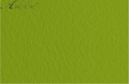 Картон для акварелі та пастелі А4 Tiziano Зелений фісташковий 43 160 г