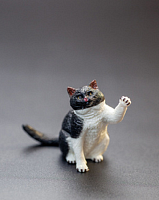 Колготки Рата р. 13, кольорові мікс 12731