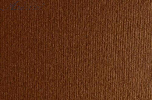 Картон для пастели и дизайна 50х70см Коричневый Elle Erre 220 г 06 marrone  17881