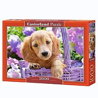 Игрушка Пазл 1000 Щенок в корзине 68 х 47 см Castorland  C-103799