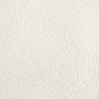 Папір для акварелі ГОЗНАК А4 210 х 297 мм 180149