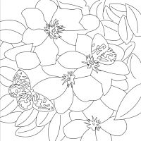 Полотно з контуром Квіти на підрамнику 30 х 30 см 950750