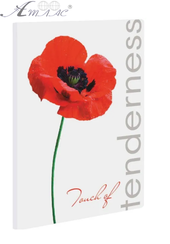 Папка скоросшиватель А4 Leo Poppy Мак L5137 Папка скоросшиватель А4 Leo Poppy Мак L5137